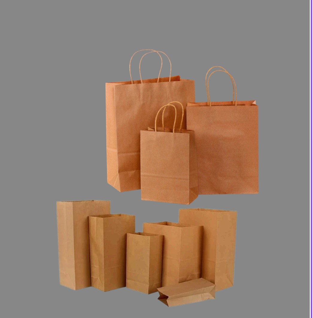 Kraft Paper Bag with Handles — Medium