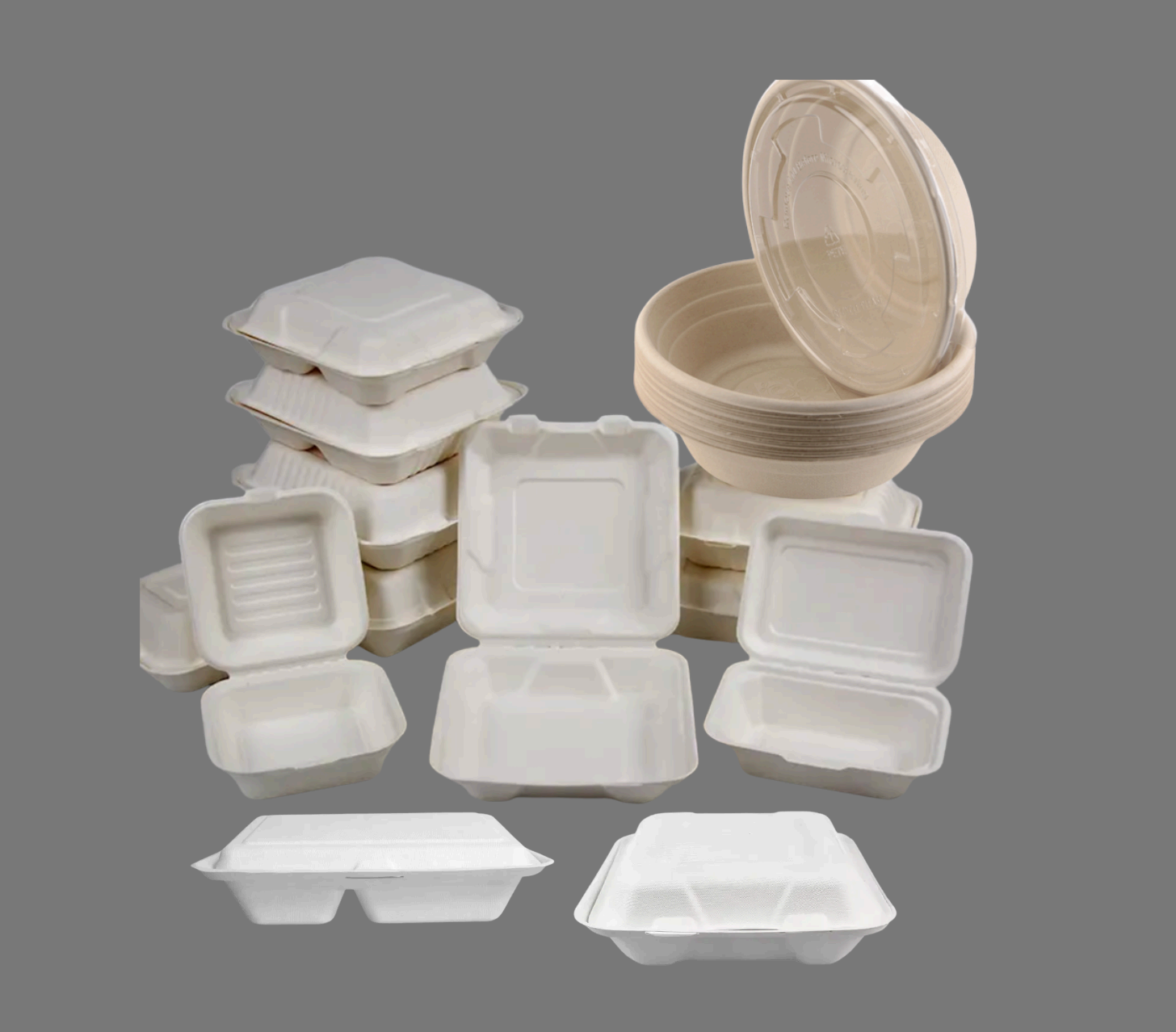 Sugarcane Clamshell 9" 3-Compartment